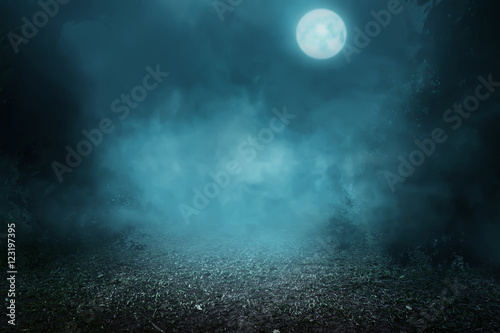 Obraz na plátně Spooky foggy forest