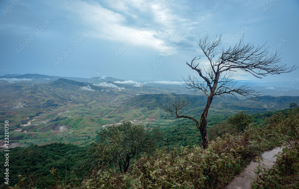 Beautiful landscape in a cloudy day