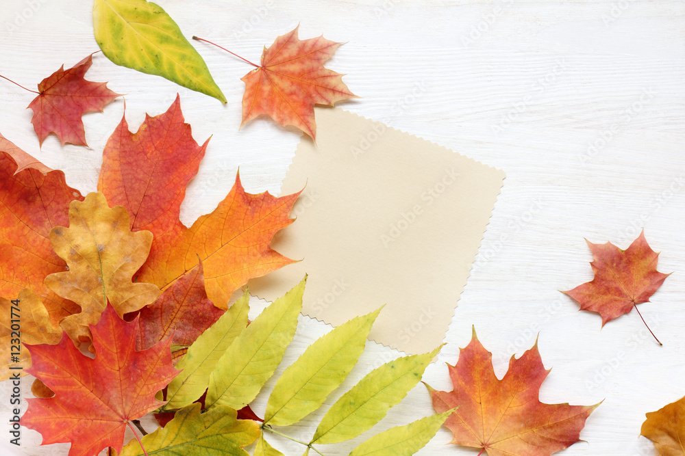 background for congratulations and wishes/ autumn leaves and blank sheet for inscriptions on a light wooden surface 