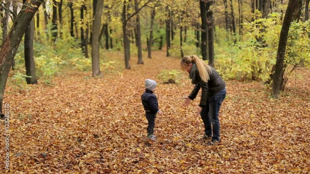 Mom and child playing leaves in beautiful wood. Autumn day Mom and child playing leaves in beautiful wood. Autumn day