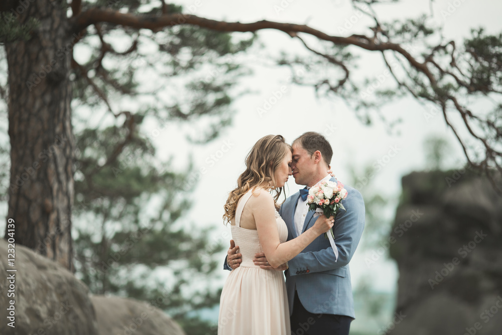 Gorgeous bride, groom kissing and hugging near the cliffs with stunning views Gorgeous bride, groom kissing and hugging near the cliffs with stunning views