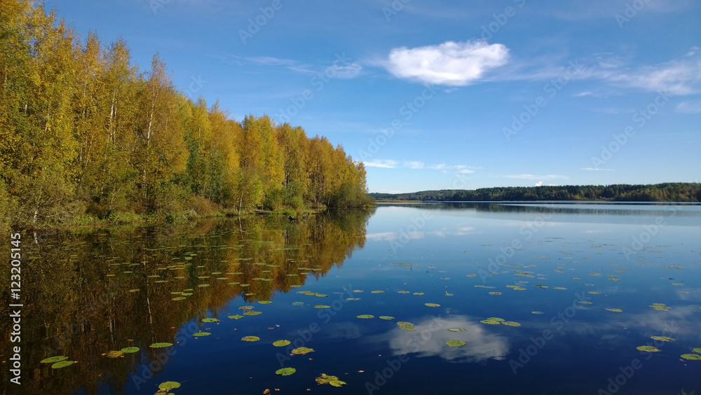 The reflection of clouds and forest in the calm lake in autumn