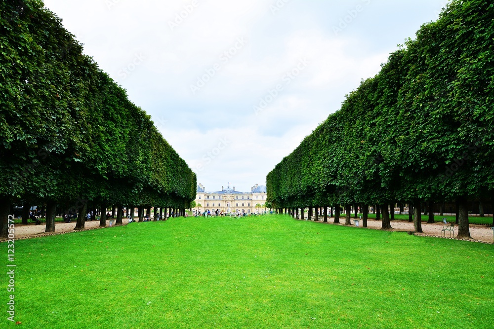 Obraz premium ormanlı yol