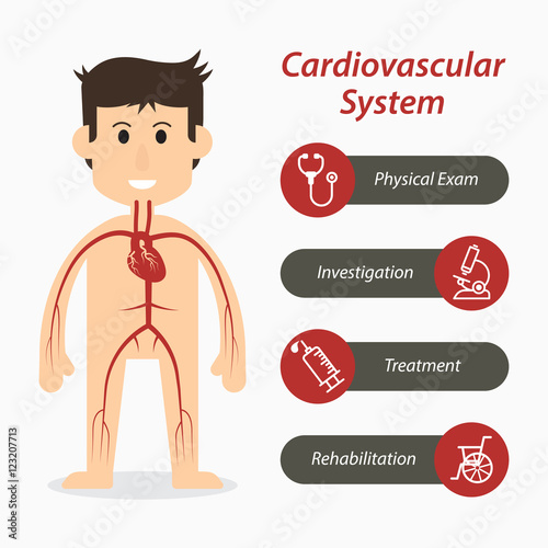 Cardiovascular system and medical line icon