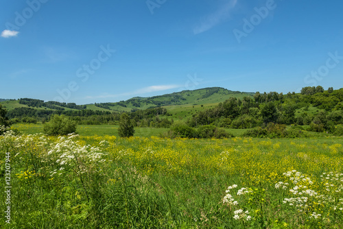 mountains hills sky meadow