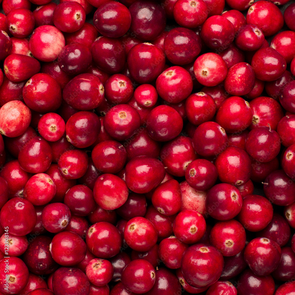 Fresh red ripe cranberries background Fresh red ripe cranberries background