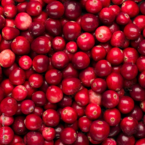 Fresh red ripe cranberries background