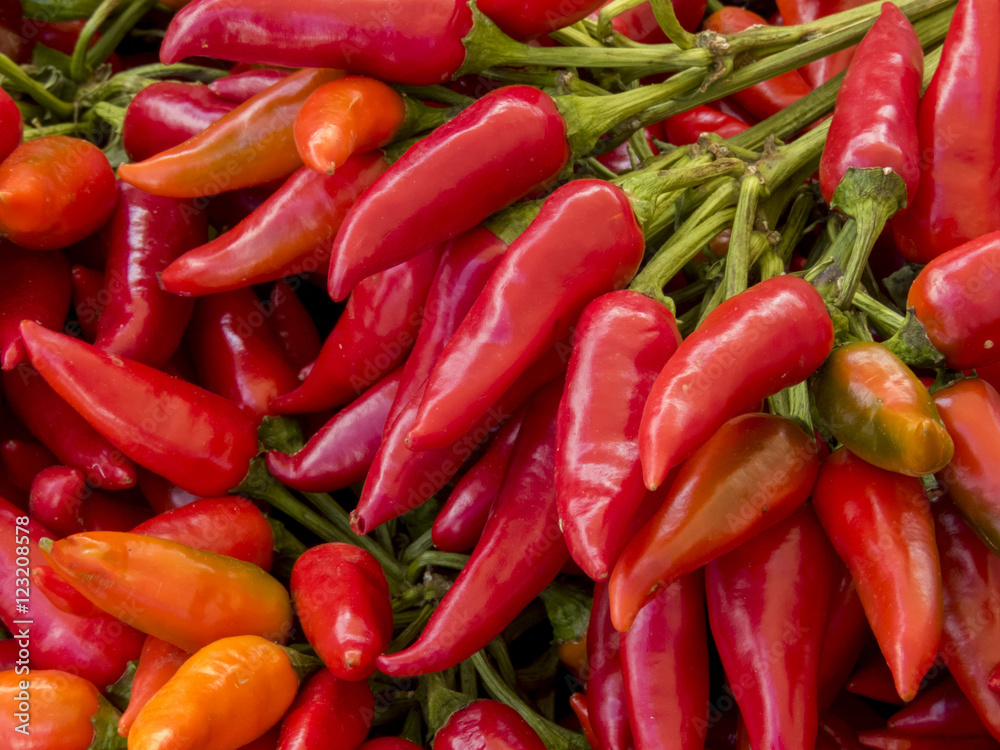 red chilli market in autumn
