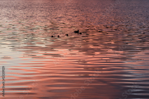 texture water sunset background