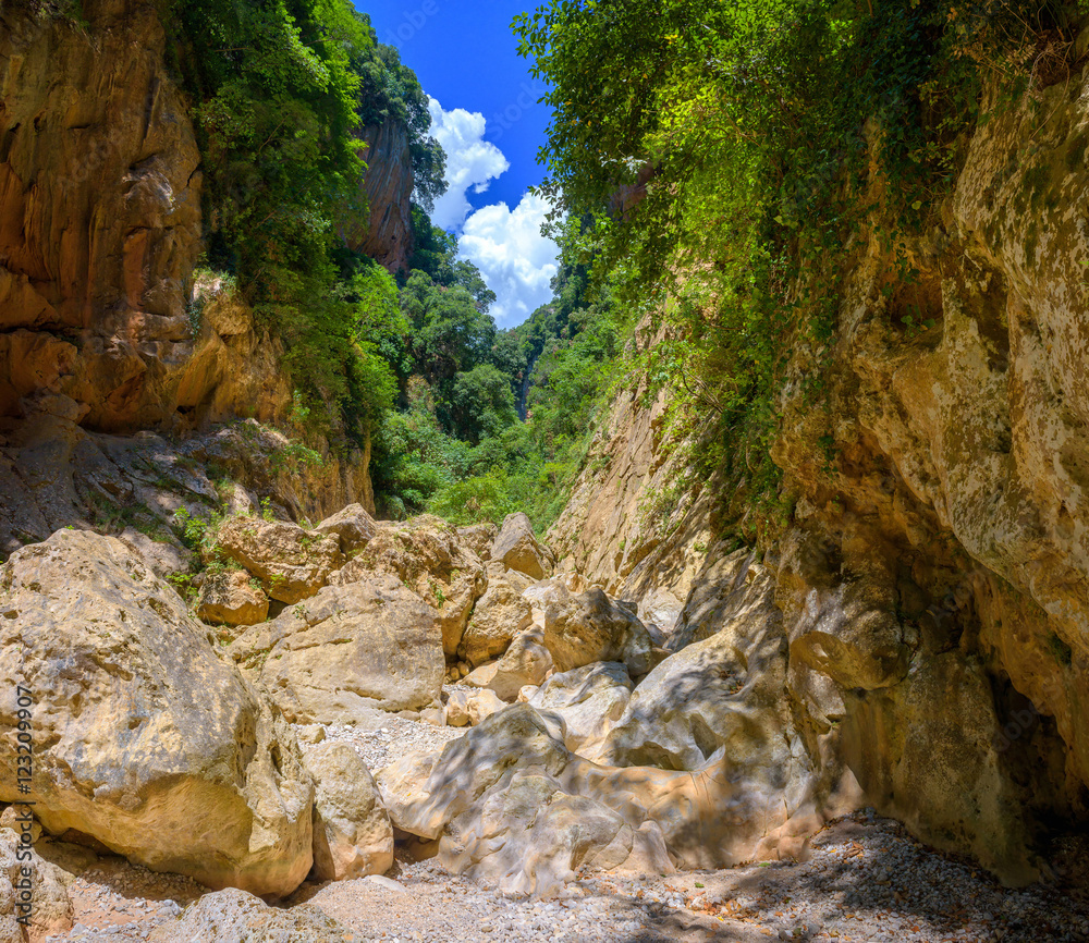 canyon with steep slopes