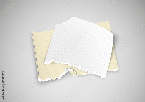 two pieces of torn paper on light background