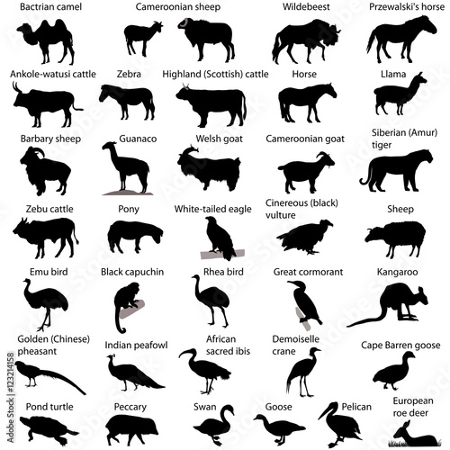 Collection of silhouettes of different species of animals