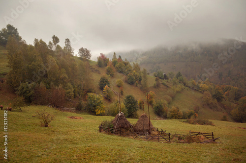 Fototapeta Naklejka Na Ścianę i Meble -  Autumn landscape in the Carpathian Mountains