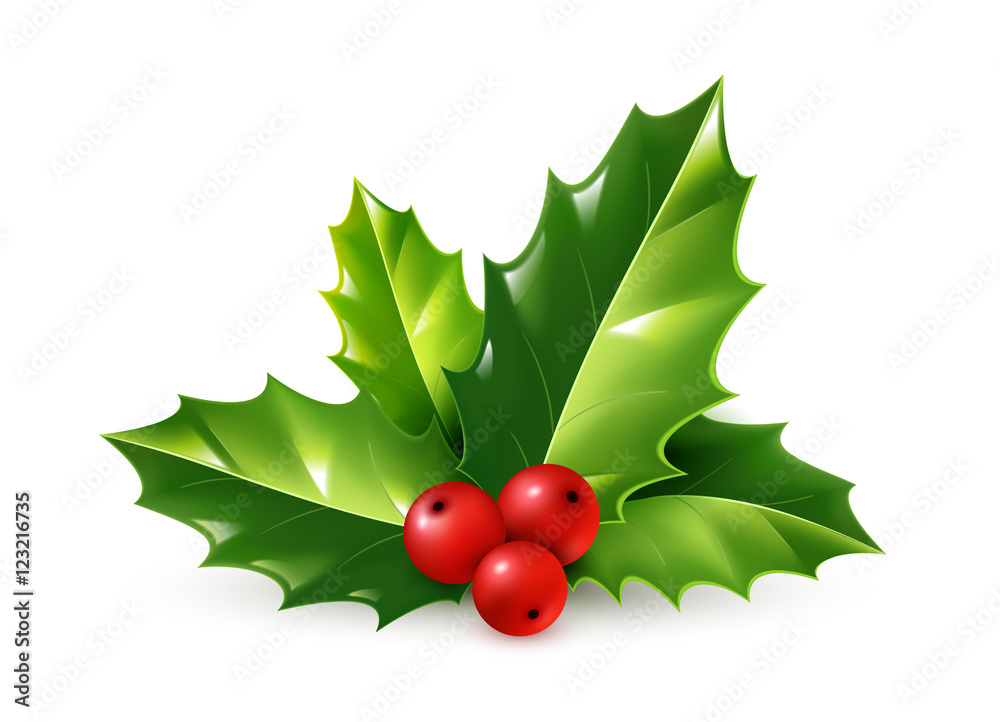 Vector realistic holly Christmas ornament. Green leaves and red berries