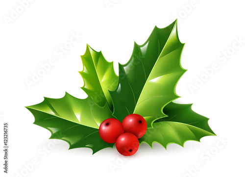 Vector realistic holly Christmas ornament. Green leaves and red berries isolated on white background photo