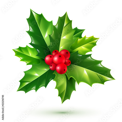 Realistic red holly berries and green leaves. Vector Christmas ornament isolated on white background.