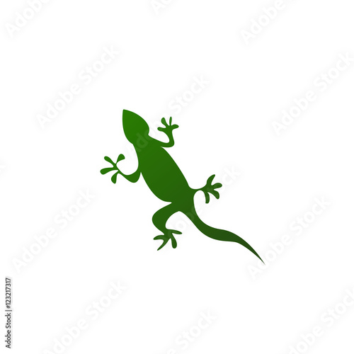 Lizard Vector