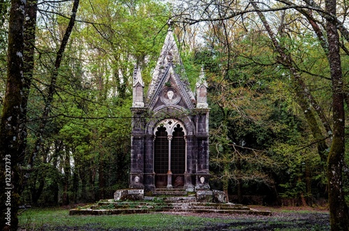 gotico nella natura photo