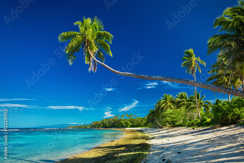 Tropical beach on south side of Samoa Island with palm trees