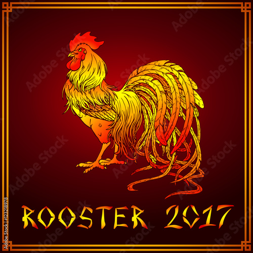 Handsome fiery rooster on red