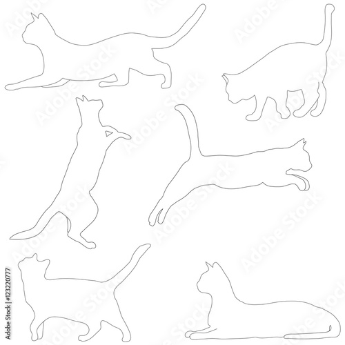 Cats collection - vector silhouette
