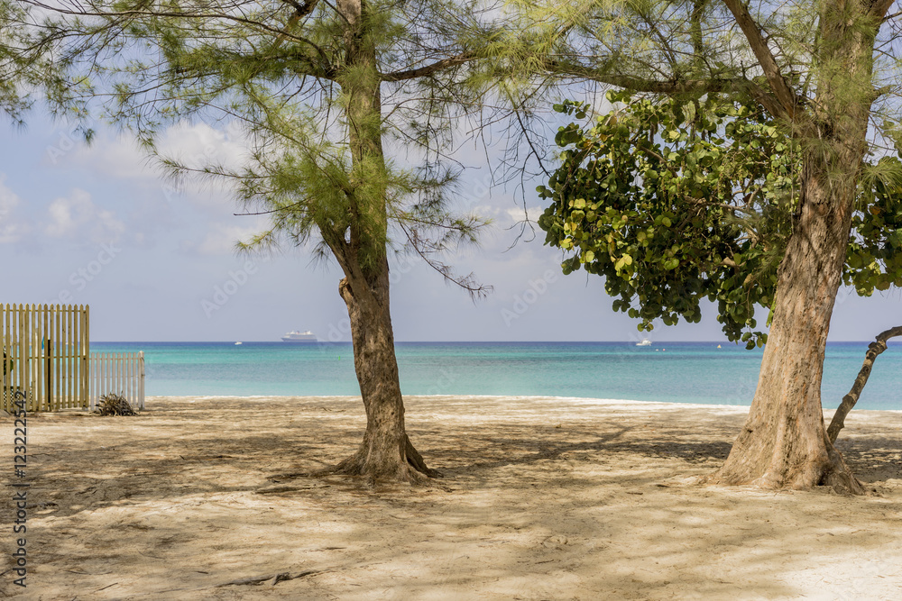 two trees on a tropical beach with a view through the trunks to a calm blue ocean conceptual of a summer vacation