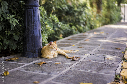 Fototapeta Naklejka Na Ścianę i Meble -  Ginger cat relaxing on an urban sidewalk lying contentedly at the food of an old wrought iron lamppost