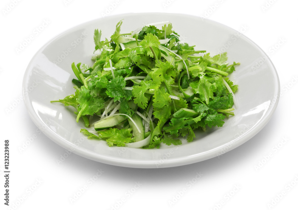 cilantro salad, coriander salad cilantro salad, coriander salad