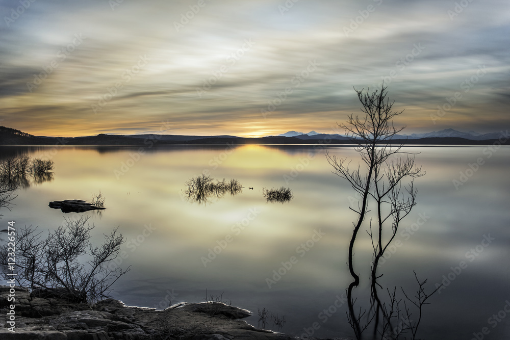 Fototapeta premium shiny lake photographed during the golden hour