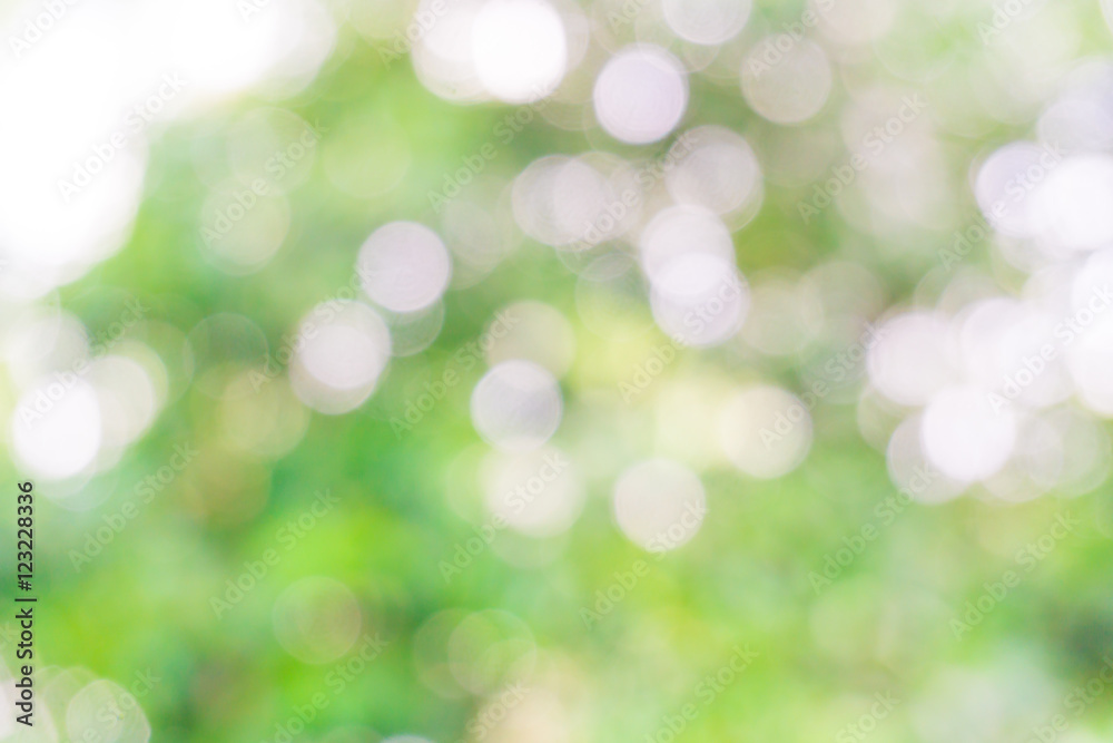 Green blurred nature background of rubber tree leaves Green blurred nature background of rubber tree leaves