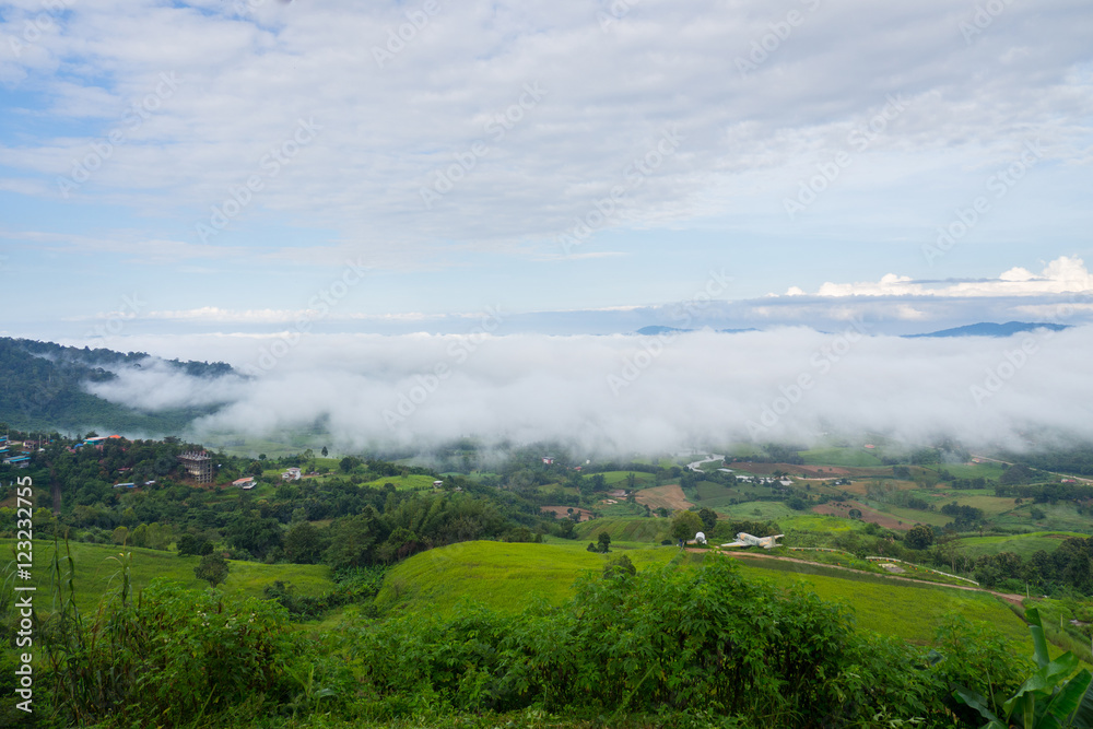 Mountain Mist, at Khao-kho Phetchabun,Thailand
