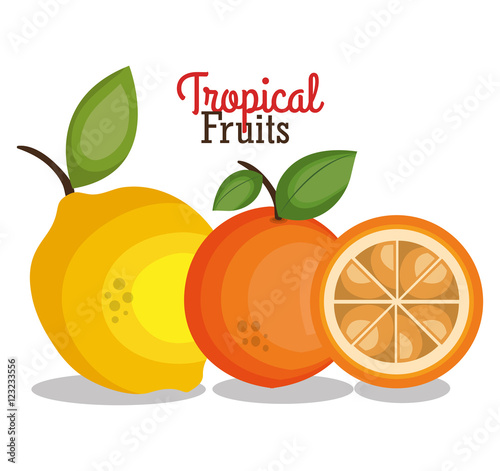 tropical fruits fresh banner vector illustration design