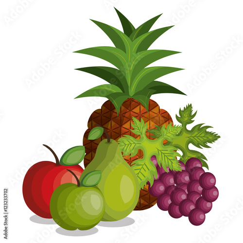 tropical fruits fresh banner vector illustration design