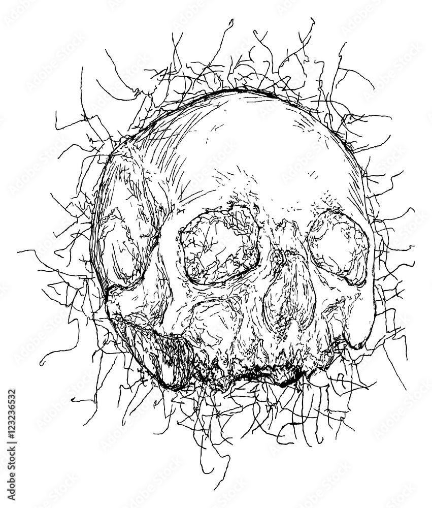 Vector Skull Vector Skull