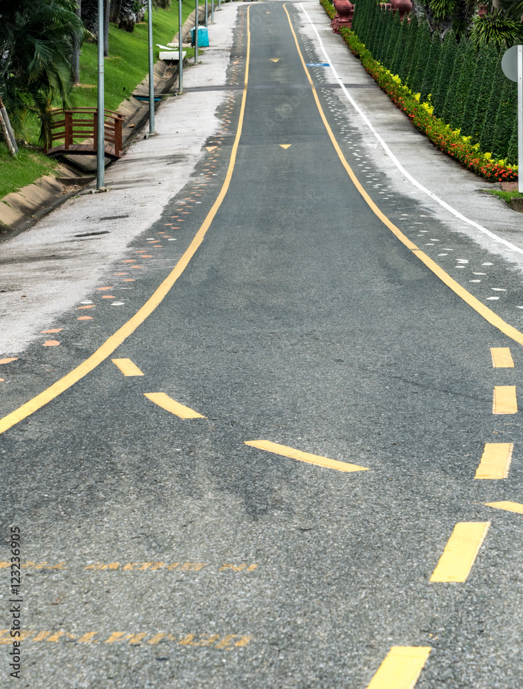 Obraz premium Road in the park