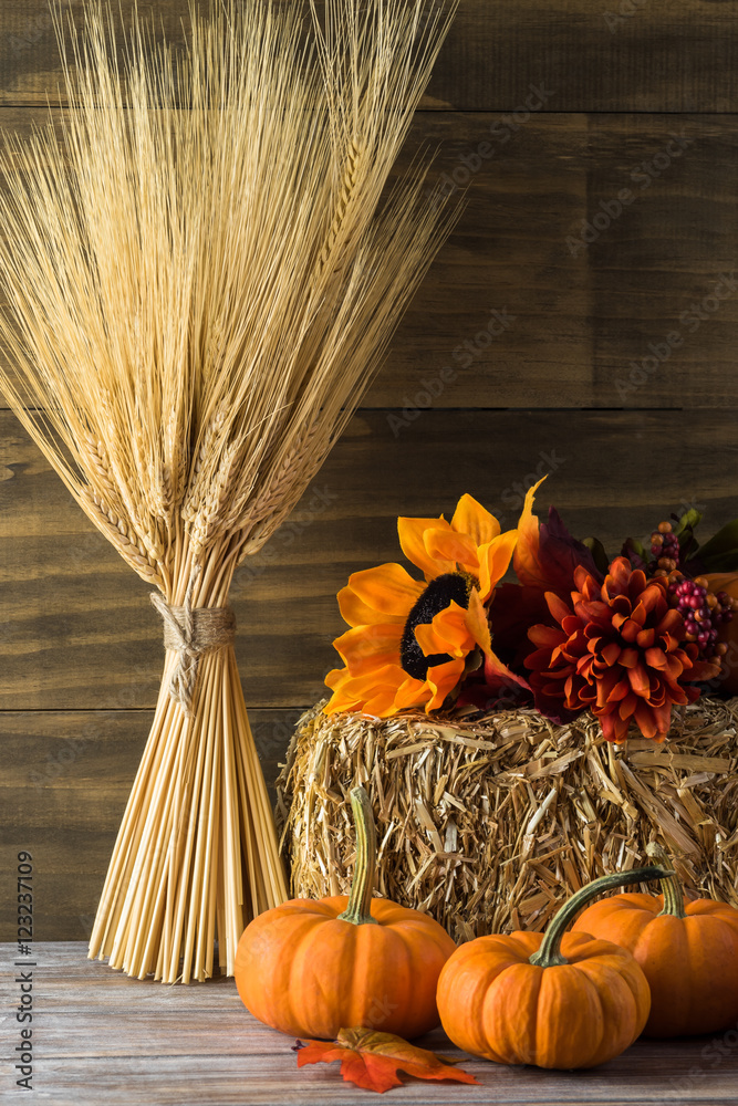 Autumn shop home decor
