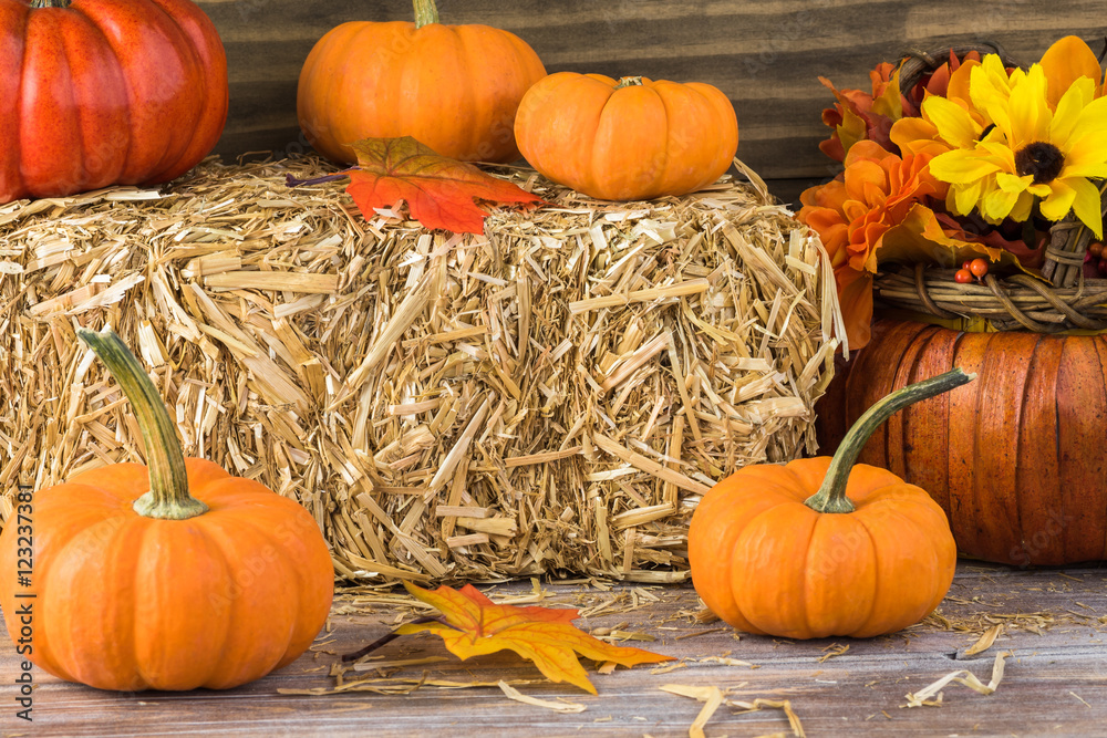 Fotografie Autumn home decoration.