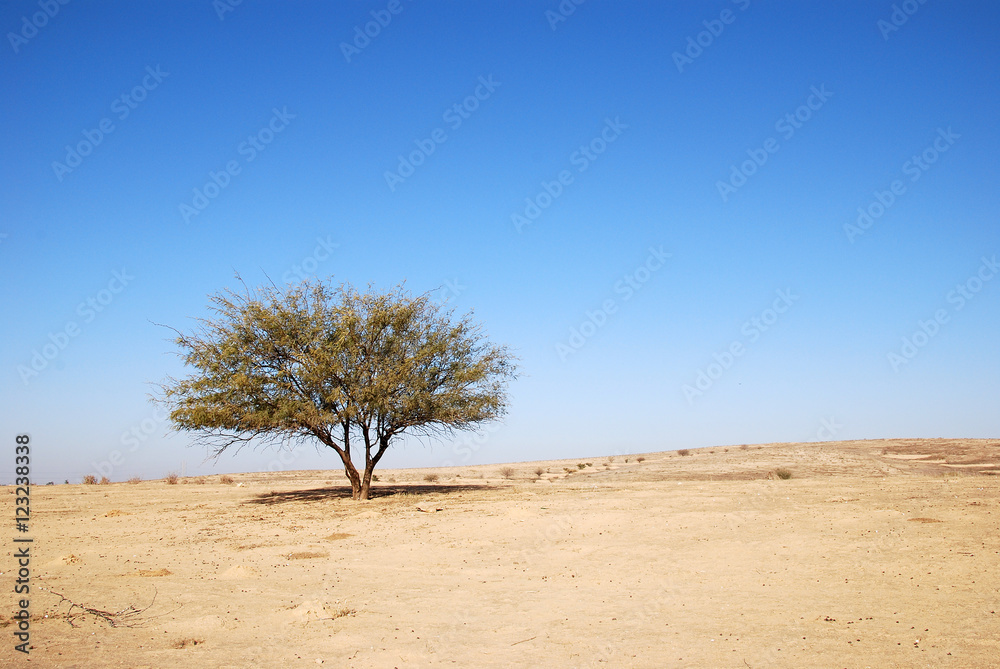 A solitude