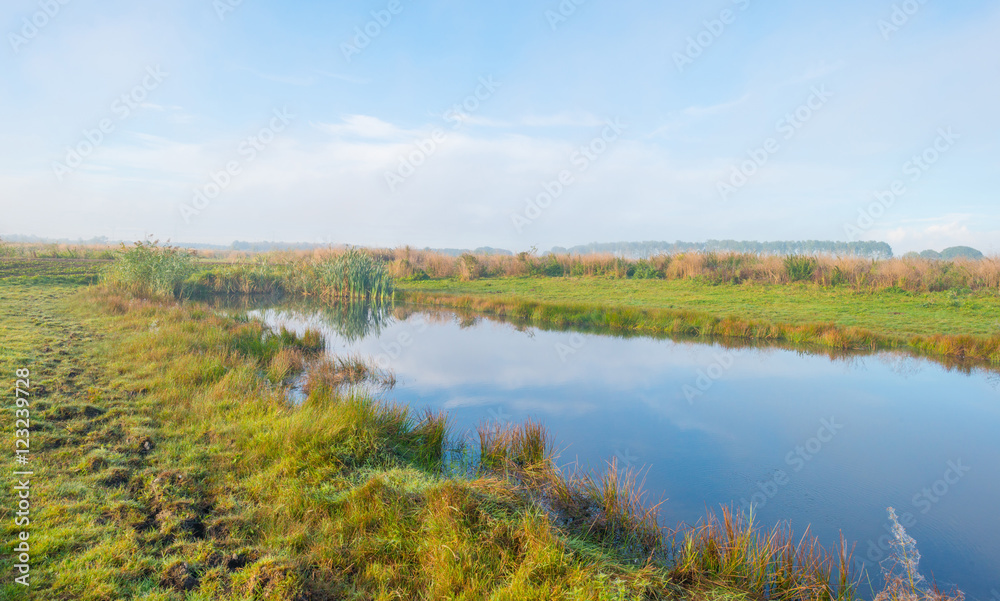 Shore of a foggy lake at sunrise in autumn Shore of a foggy lake at sunrise in autumn