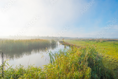 Fototapeta Naklejka Na Ścianę i Meble -  Shore of a foggy lake at sunrise in autumn