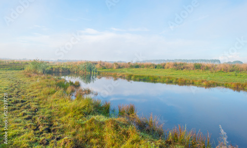 Shore of a foggy lake at sunrise in autumn