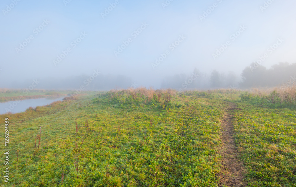 Path through a foggy field at sunrise