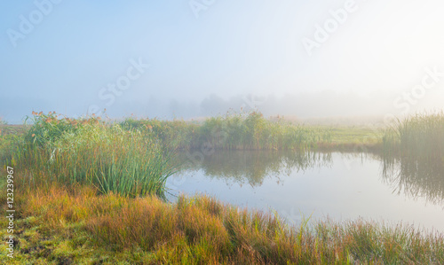 Shore of a foggy lake at sunrise in autumn