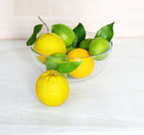 Different refreshing citrus fruits. Cocktail ingredients. Fruit set.Green lemon