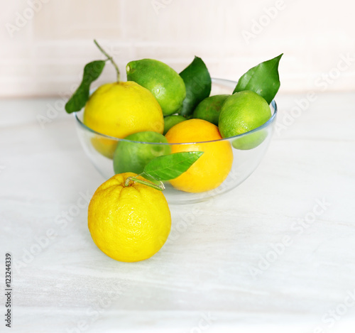 Different refreshing citrus fruits. Cocktail ingredients. Fruit set.Green lemon photo