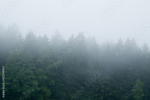 Nebel über dem Bayerischen Wald