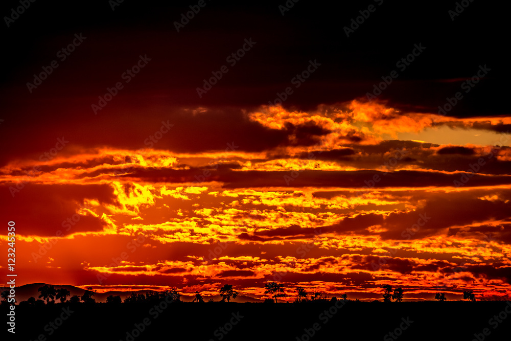 The sky is on fire
Burning orange and red clouds during the sunset in the Trakia region in Bugaria The sky is on fire
Burning orange and red clouds during the sunset in the Trakia region in Bugaria