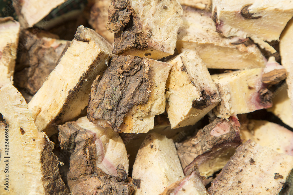 Medicinal sarsaparilla root - Smilax aspera Medicinal sarsaparilla root - Smilax aspera