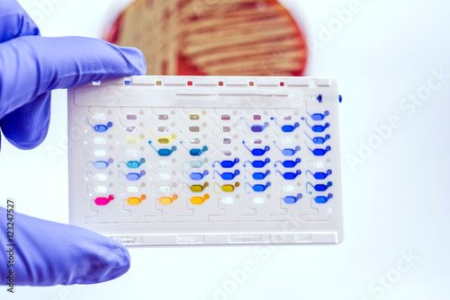 Reagent Strip for biochem and drug sensitivity test for identifi photo