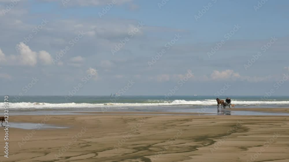 attelage sur la plage avec les falaises anglaises à l'horizon attelage sur la plage avec les falaises anglaises à l'horizon